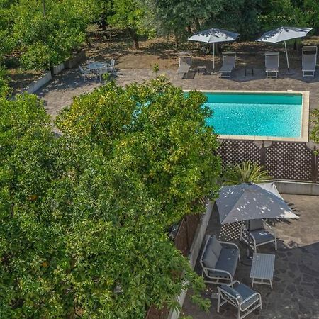 Casa Gege', For Up To 5 Guests, Shared Pool, Sorrento Center Apartman Kültér fotó
